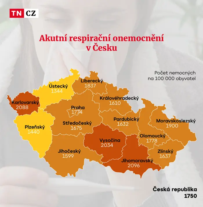 Akutní respirační onemocnění v Česku