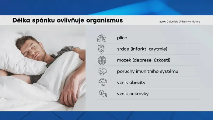 Délka spánku ovlivňuje organismus