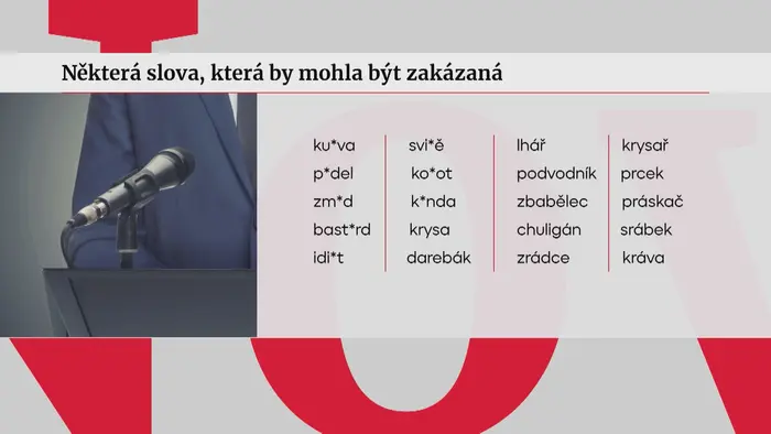 Slova, která by mohla být ve Sněmovně zakázána