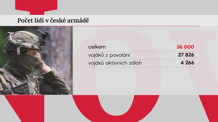 Počet lidí v české armádě