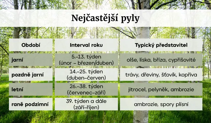 Pylová sezona