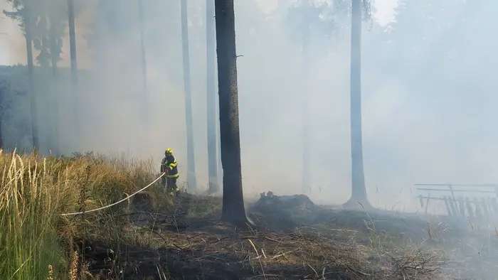 Požár lesa v Karlovarském kraji
