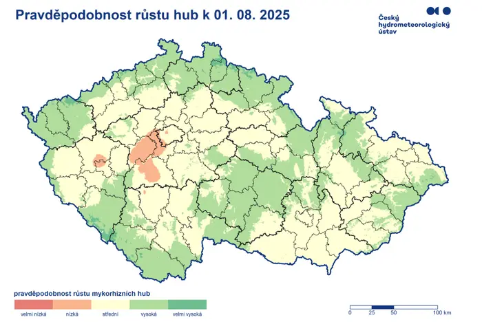 Pravděpodobnost růstu hub