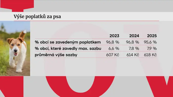 Výše poplatků za psa