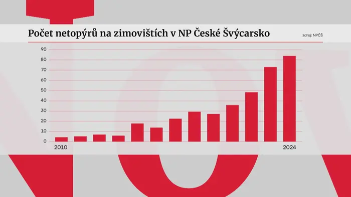 Netopýři