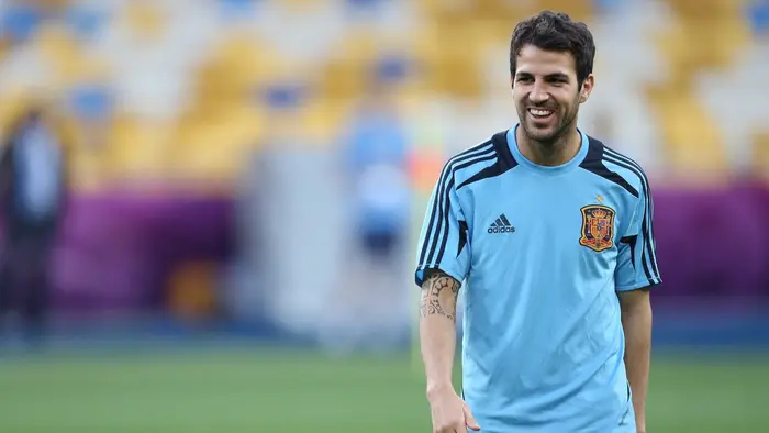 Cesc Fabregas v dresu španělské reprezentace