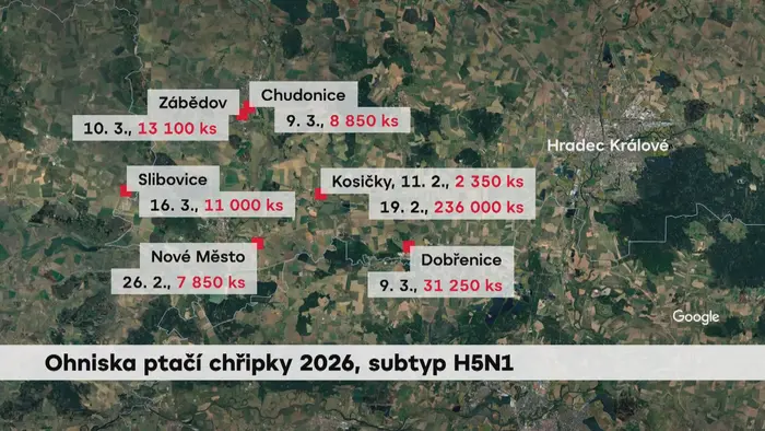 Ohniska ptačí chřipky 2026, subtyp H5N1