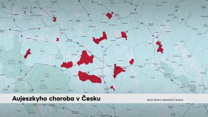 Aujeszkyho choroba v Česku