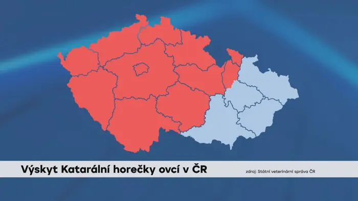 Výskyt Katarální horečky ovcí v ČR