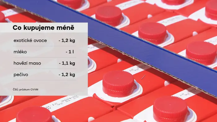 Co nakupujeme méně