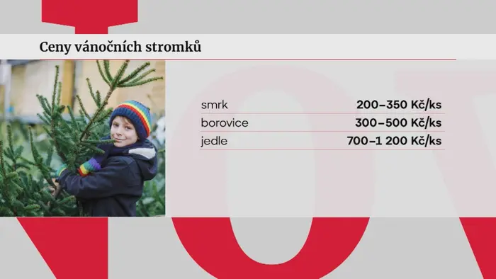 Ceny stromků