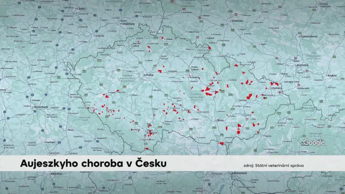 Aujeszkyho choroba v Česku