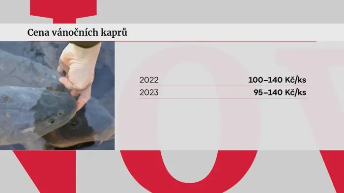 Ceny kaprů
