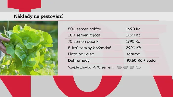 Náklady na pěstování