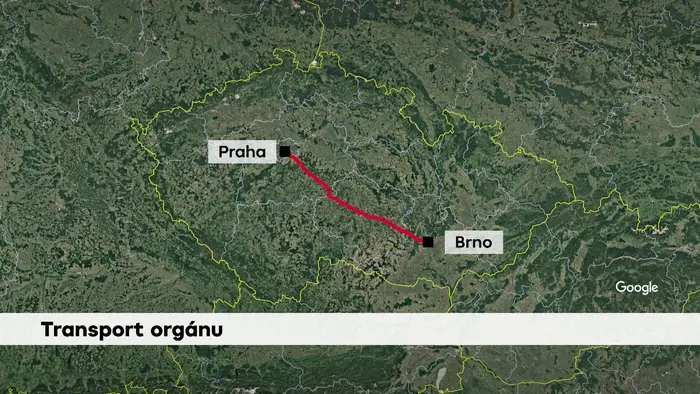 Transport orgánu