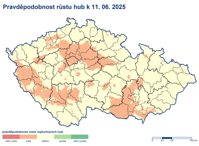 Pravděpodobnost růstu hub