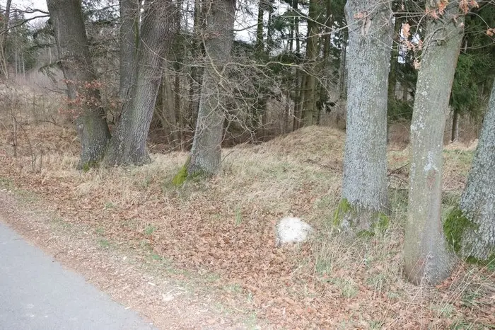 Nález devíti uhynulých koček na Prachaticku