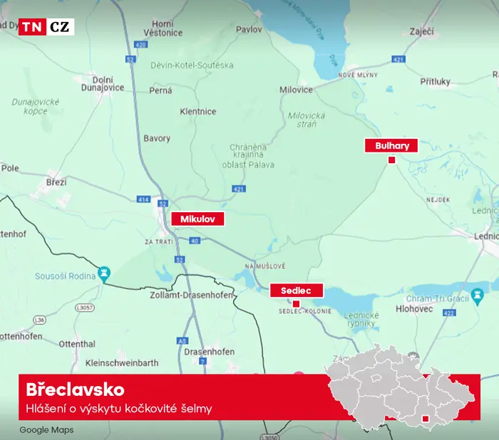 Hlášení o výskytu kočkovité šelmy na Břeclavsku
