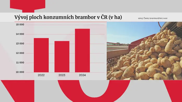 Brambory