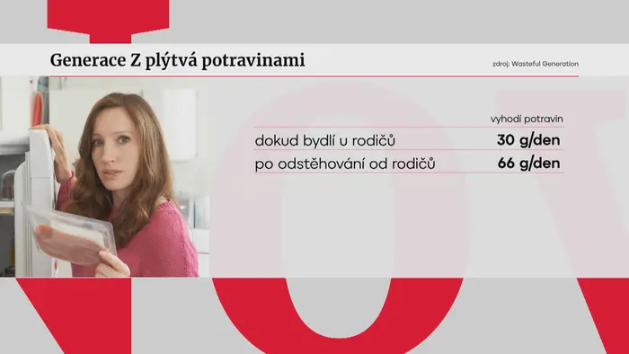 Plýtvání graf