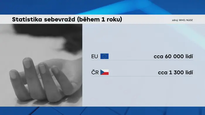 Statistika sebevražd (během 1 roku)