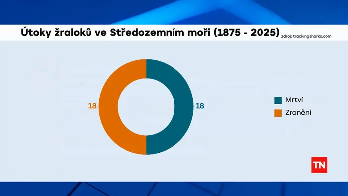 Útoky žraloků ve Středozemním moři (1875–2025)