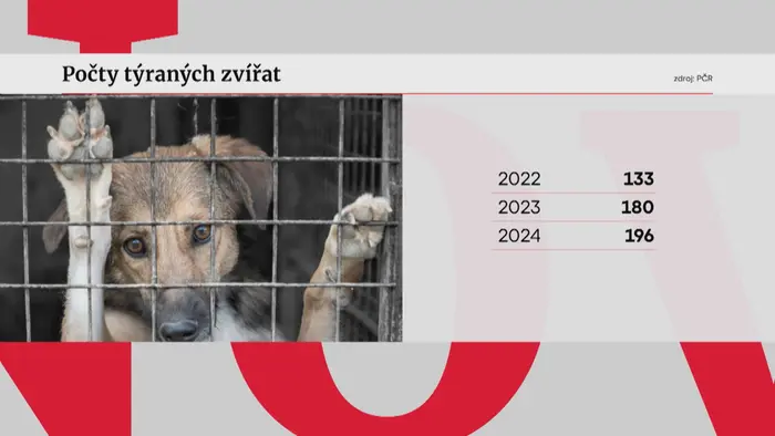 počty týraných zvířat