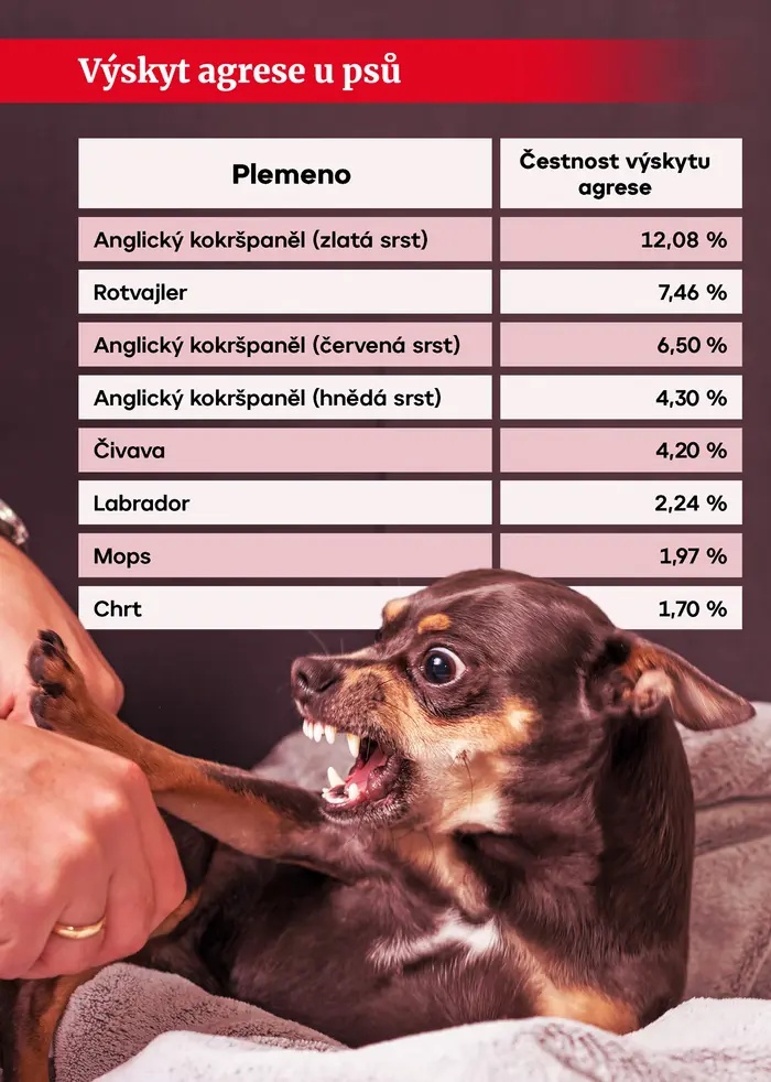 Agresivita psů