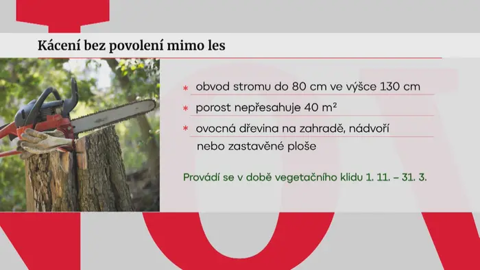Kácení
