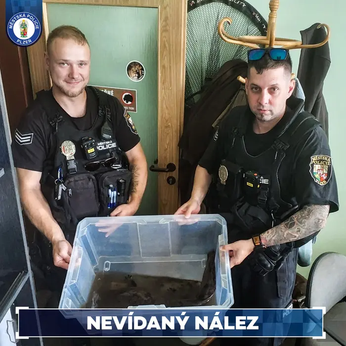 Strážníci našli ohrožený druh velemloka