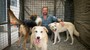 Paul Farthing se svými psy 2