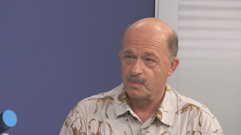 Klima se změnilo. Rostliny to snášejí hůř a jsou zranitelnější vůči škůdcům, říká expert