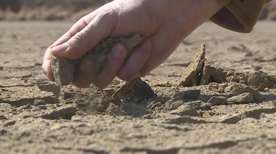 Odborník varuje před suchem. Podzim a jaro už nebudou jako dřív