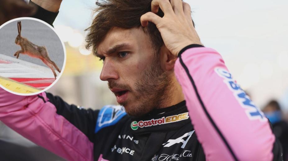 VIDEO: Smutný incident na trati. Jezdec Formule 1 strojem doslova roztrhal zvíře
