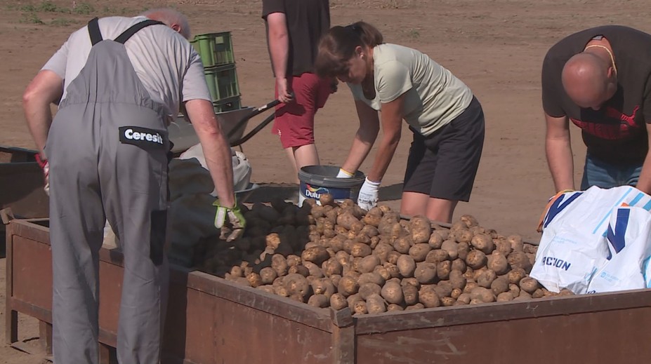 PŘEHLED: Samosběry pomalu končí. Zjistěte, kam se ještě můžete vydat