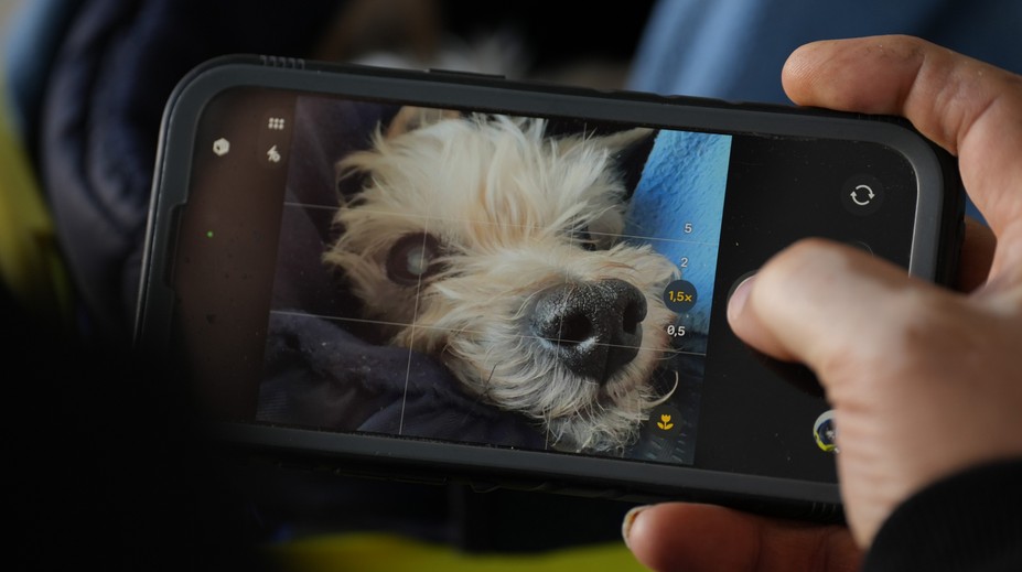 V zahraničí zavádí do škol péči o domácí mazlíčky. Česko podobný krok nechystá