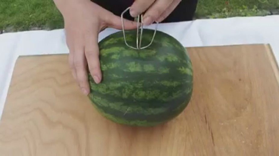 Vyrobte si domácí melounový džus během několika vteřin!