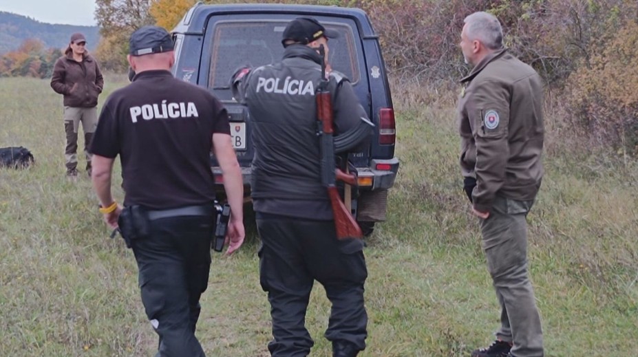 Medvěd na Slovensku pokousal houbaře. Počíhal si na něj v ovocném sadu