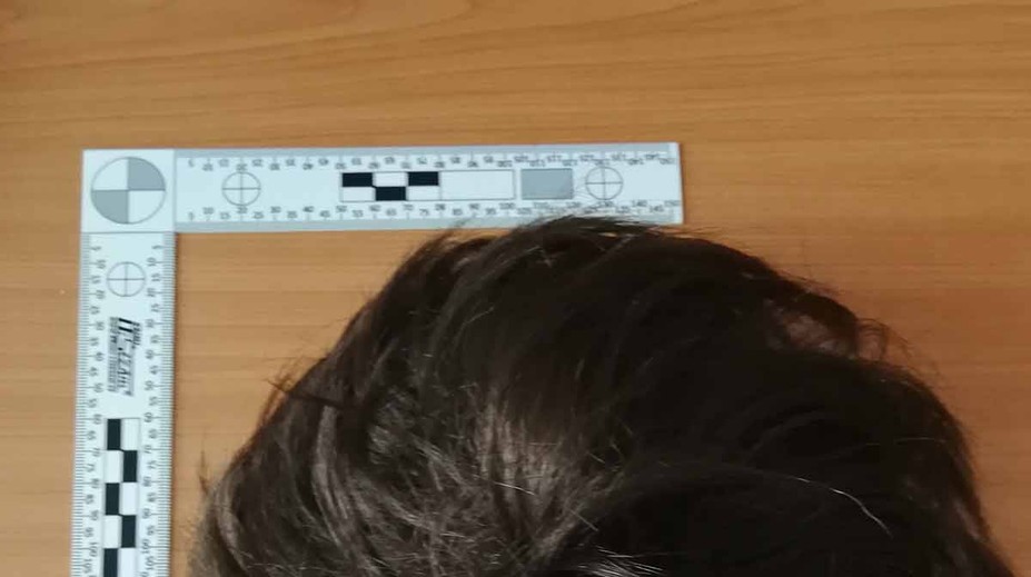 Sériový lupič útočil hlavně na ženy. Nožem, paralyzérem a v paruce