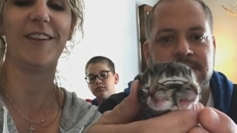 Zrůdná krása: Kotě se narodilo se čtyřma očima a druhou tváří
