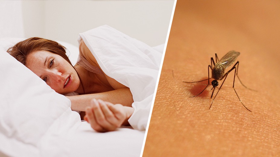 Úřad varuje před cestami na jih Evropy. Šíří se tam virová onemocnění