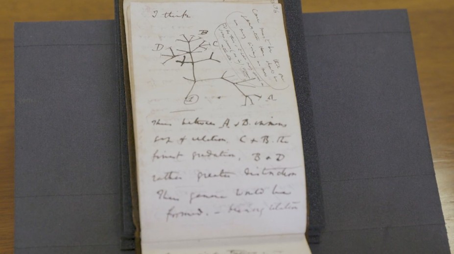 Překvapení pro knihovníky. Někdo po 22 letech vrátil zmizelé Darwinovy zápisníky