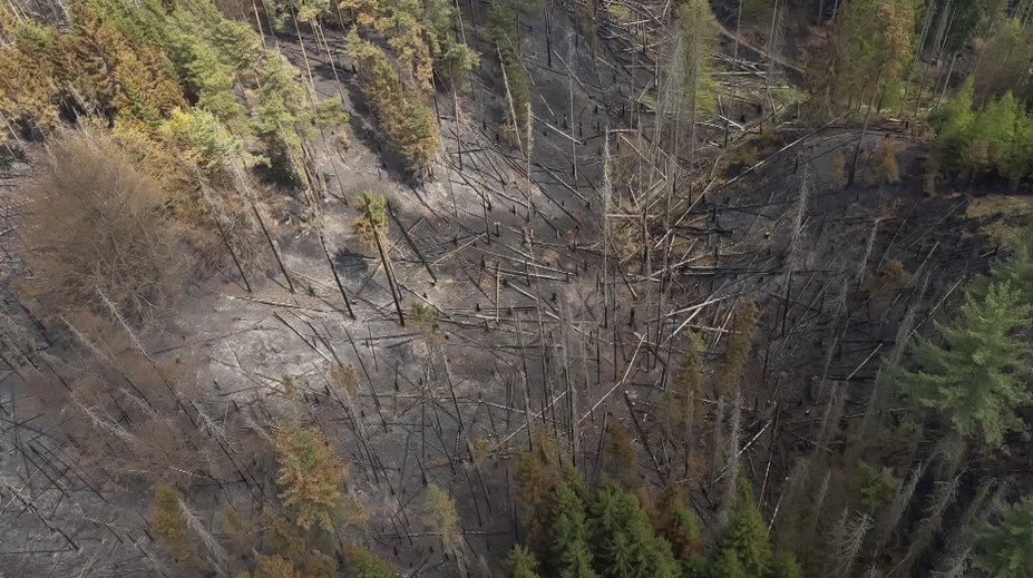 Požár v Českém Švýcarsku slábne. Déšť pomohl zmenšit zasaženou plochu