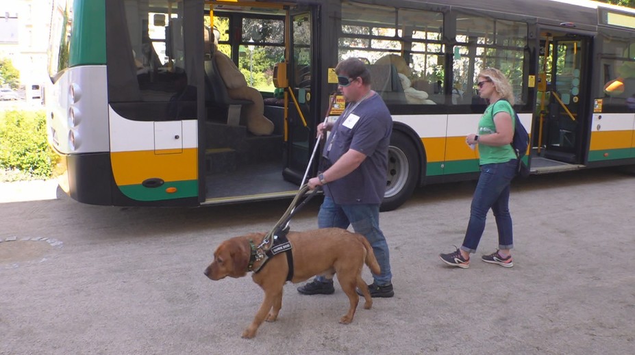 V Liberci soutěžili vodicí psi. Museli najít přechod nebo volné místo v autobusu