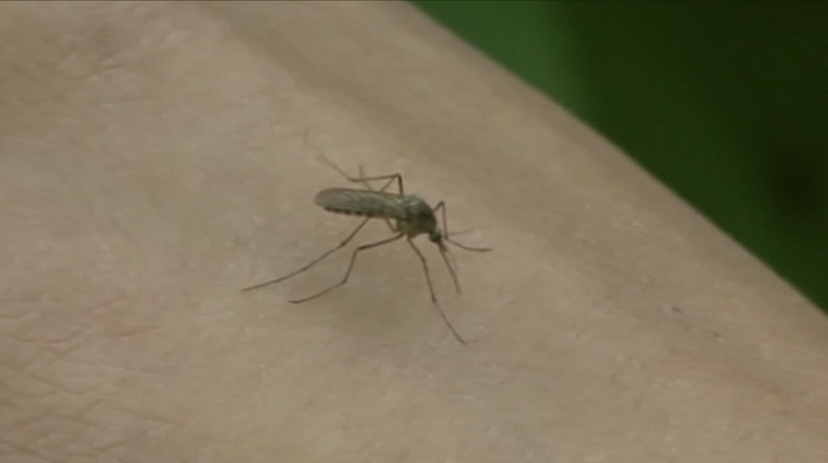 Češi si oblíbili dovolenou v exotice. Mnohdy ale podceňují zdravotní rizika