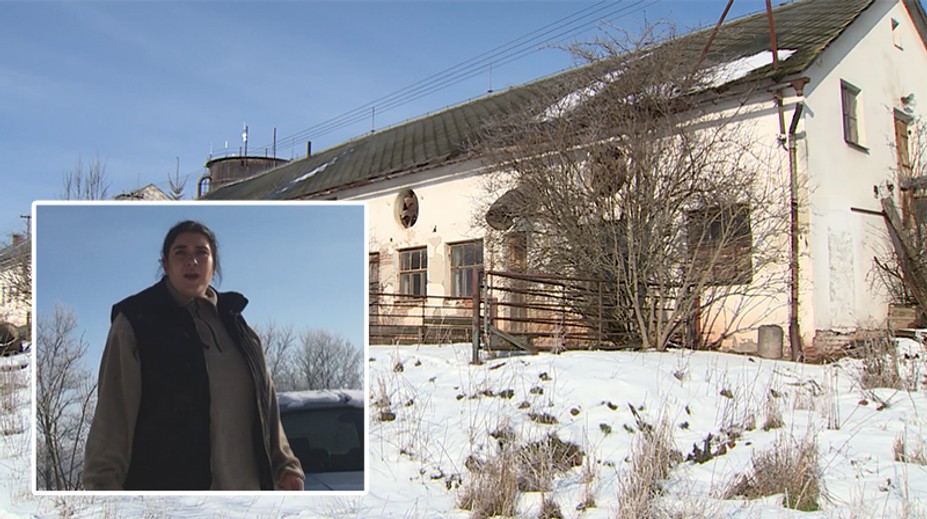 Strašlivá muka! Zvířata měla uhynout kvůli hladu a žízni