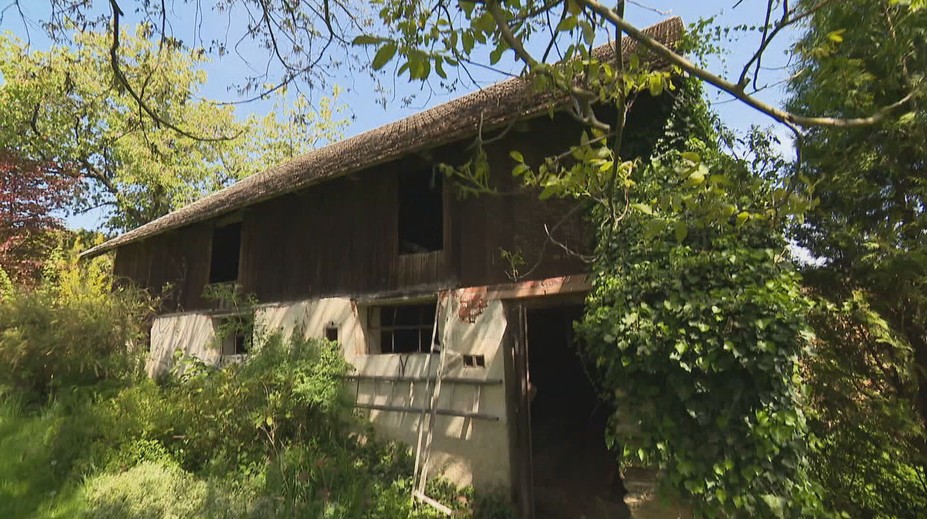 Stěny skrývající plísně a jedy. Problémy mívá většina nemovitostí na prodej