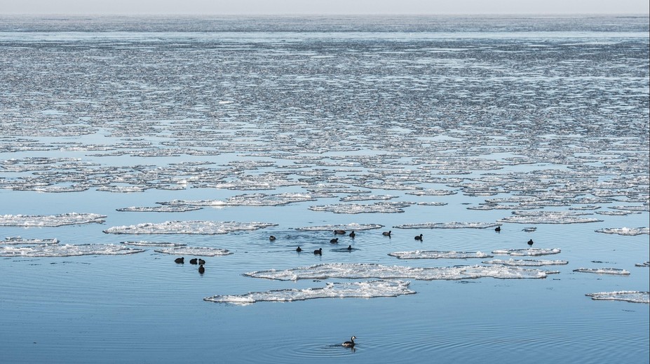 Vědci sledují záhadnou chladnou skvrnu v Atlantském oceánu. Může mít strašlivý dopad