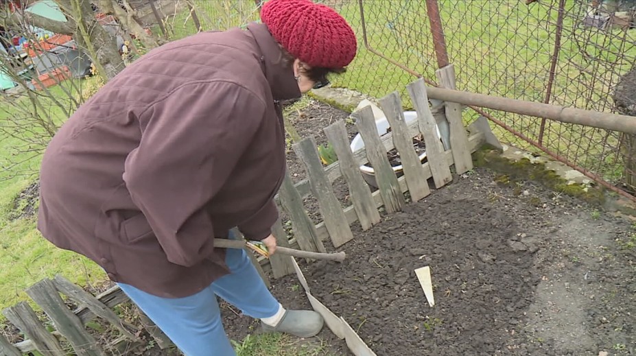 Mùa Xuân Bắt Đầu Đem Lại Công Việc Vườn Cho Người Làm Vườn