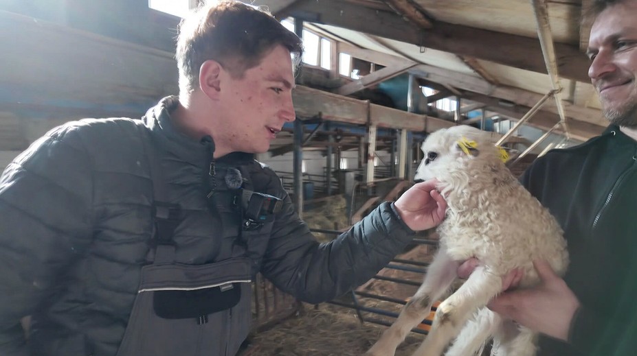 Práce na zkoušku: Reportér TV Nova si vyzkoušel práci zootechnika